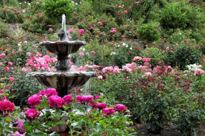 Enjoy the Stunning Water Feature with Outdoor Fountain Repair!